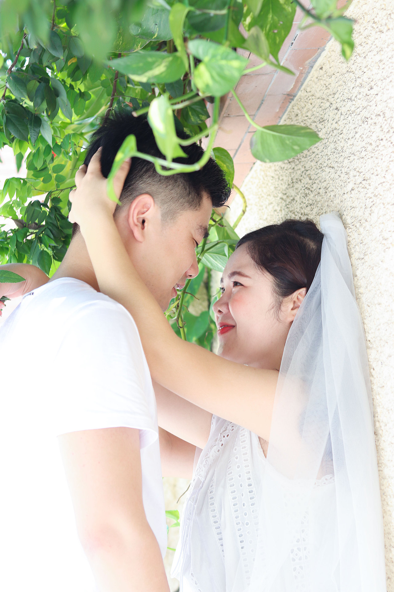 朵拉小姐的爱情故事