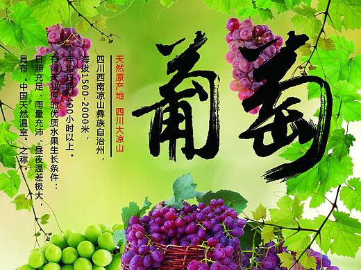 葡萄（個人主頁-ZMzgzNTE0MzI=） - 海報 - 站酷設(shè)計師是不一樣的我們原創(chuàng)素材 - 站酷ZCOOL