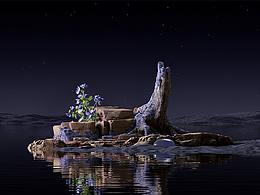 作品集