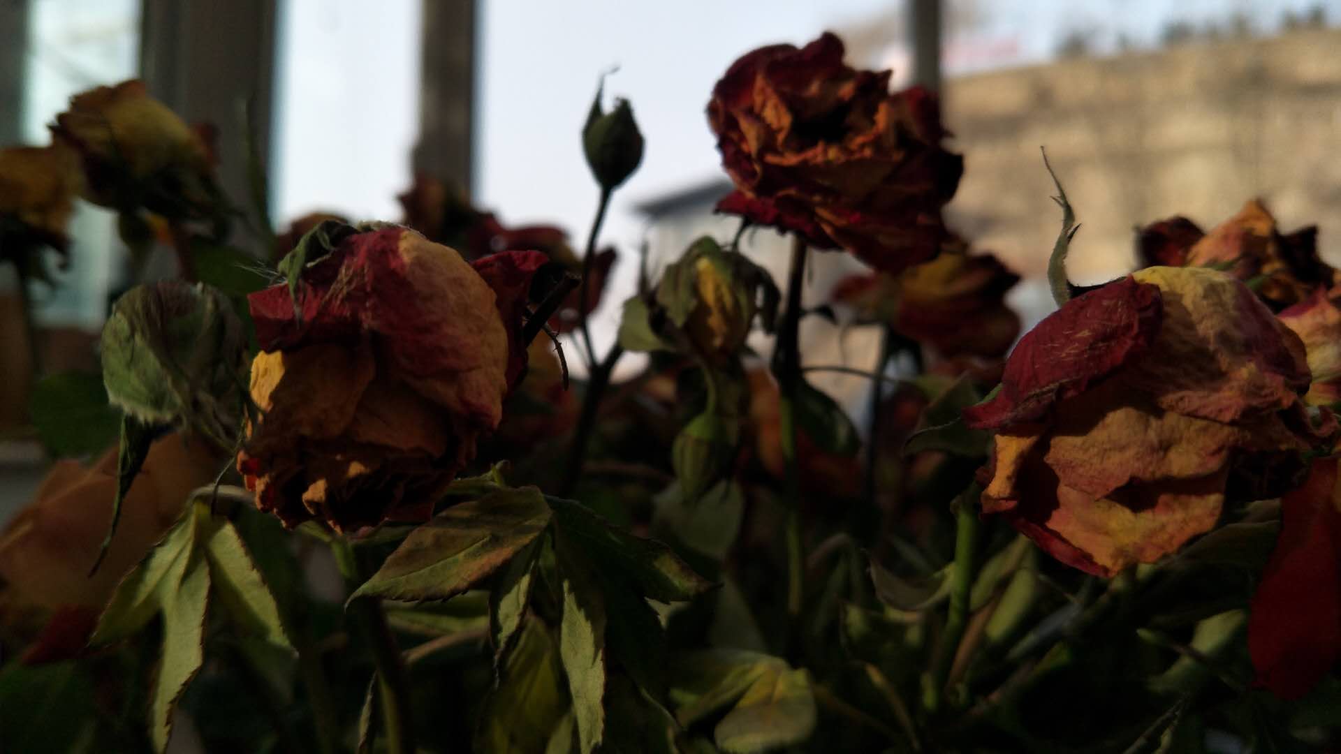 匡匡匡匡吖的个人主页（封面预览） - 主页封面设置 - 站酷设计师匡匡匡匡吖原创素材 - 站酷ZCOOL