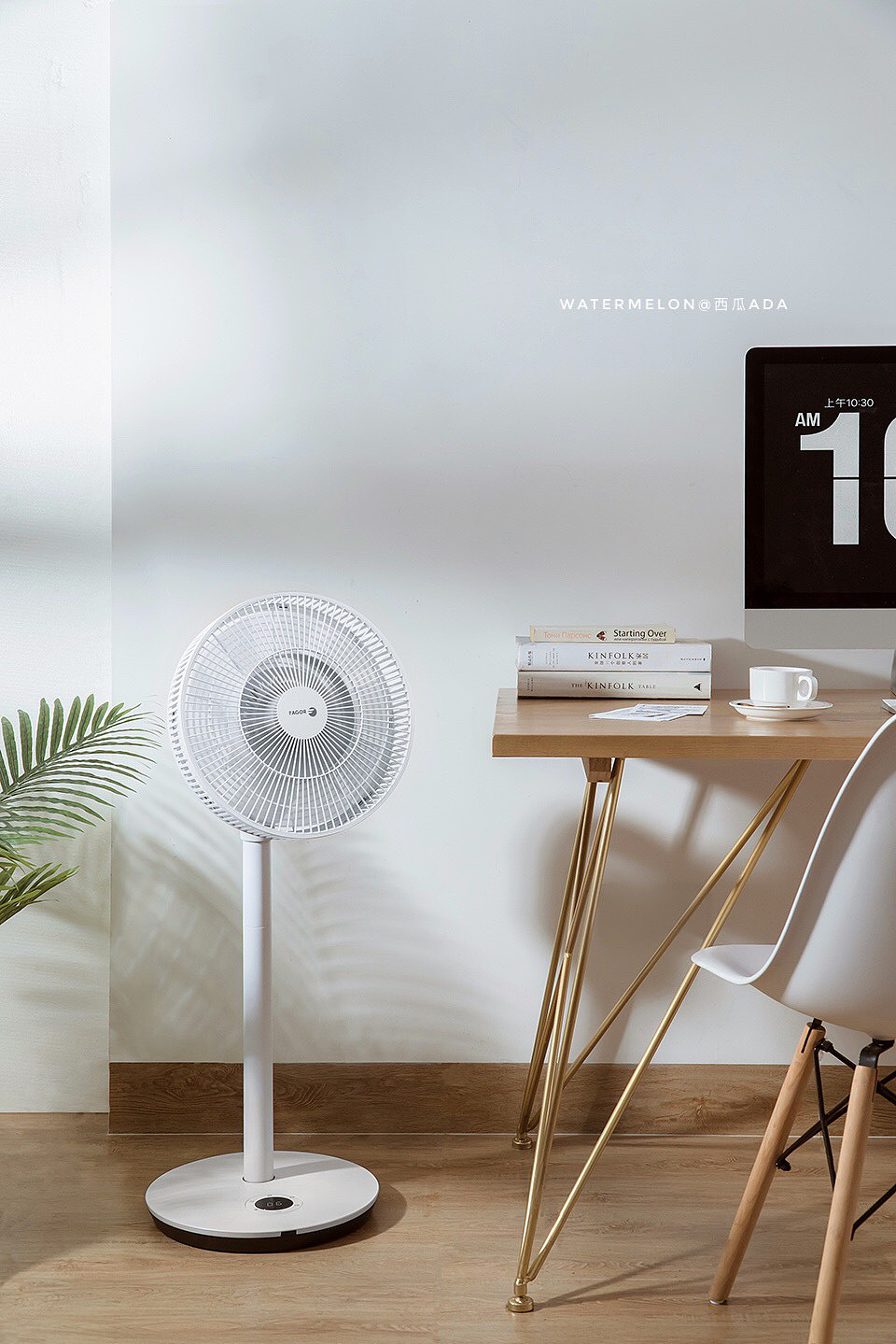 四月生活记录+商拍