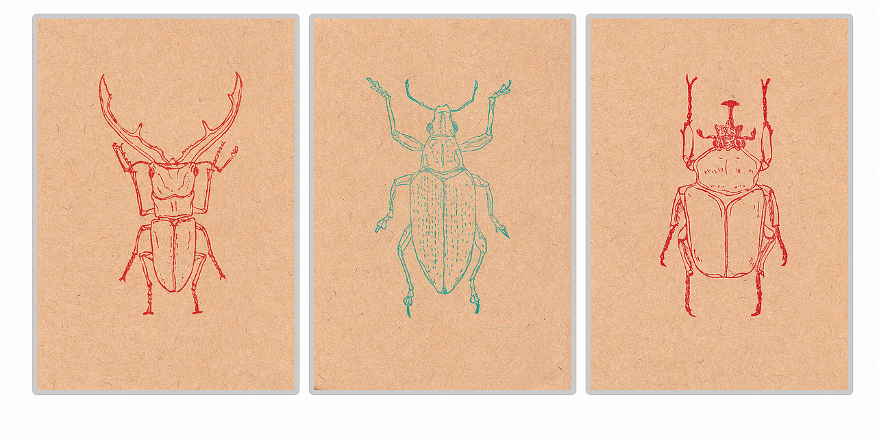 2014.11.16-22.甲虫系列橡皮章