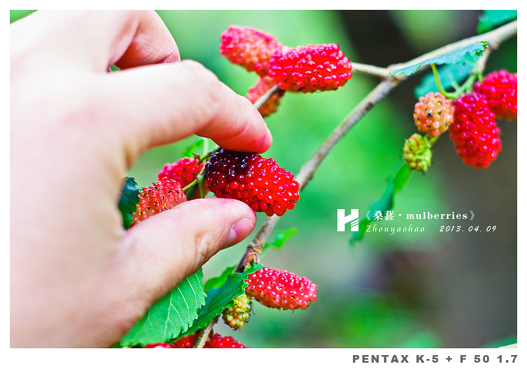 《桑葚.mulberries》（图ZODk2MDQ3Ng==） - 产品摄影 - 站酷设计师haodychou原创素材 - 站酷ZCOOL