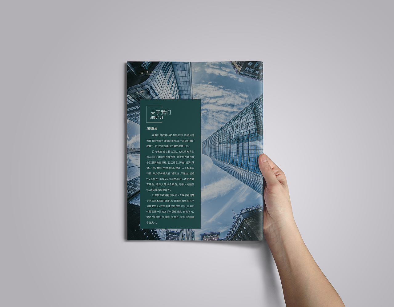 画册（图ZMjMzNjExOTk2） - 书籍/画册 - 站酷设计师张张张不会原创素材 - 站酷ZCOOL