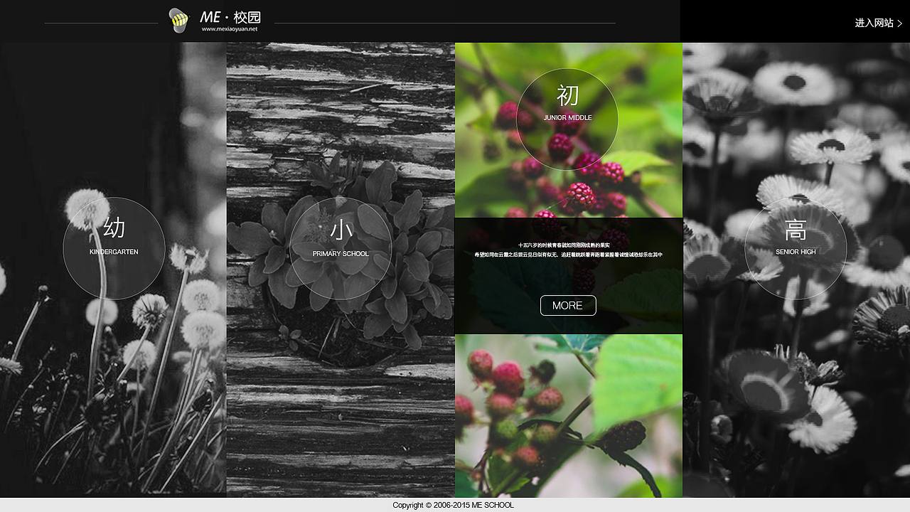 几个web页面（图ZNDQ2ODk0NzI=） - 其他网页 - 站酷设计师咖喱之魂原创素材 - 站酷ZCOOL
