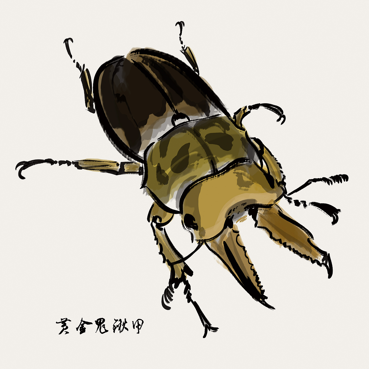 100张水墨甲虫