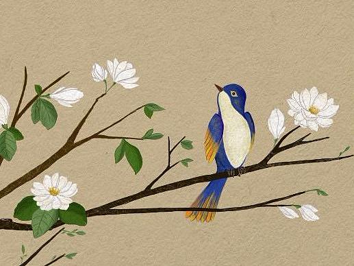 練習（個人主頁-ZMzc0NTI0NDQ=） - 創(chuàng)作習作 - 站酷設計師一陽生原創(chuàng)素材 - 站酷ZCOOL