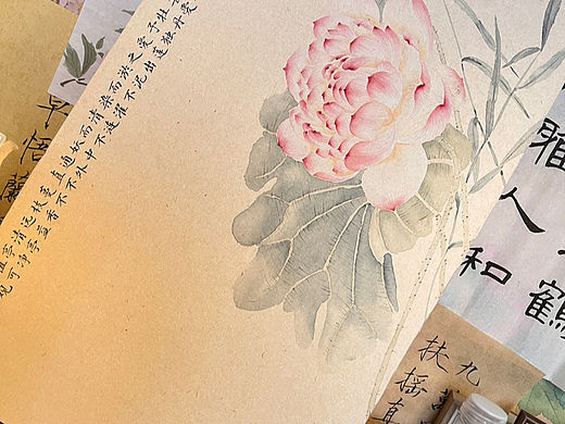 【国画/没骨】没骨荷花