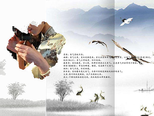 宣傳畫冊(cè)設(shè)計(jì)（個(gè)人主頁(yè)-ZMjg5MTY3MDA=） - 宣傳物料 - 站酷設(shè)計(jì)師顏霜兒原創(chuàng)素材 - 站酷ZCOOL