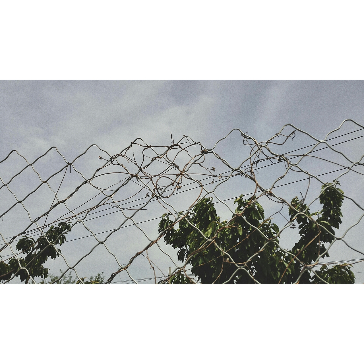 凤凰岭之游（图ZNDc3NTc0ODg=） - 风光摄影 - 站酷设计师Eloise0813原创素材 - 站酷ZCOOL