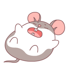 240_240gif 动态图 动图