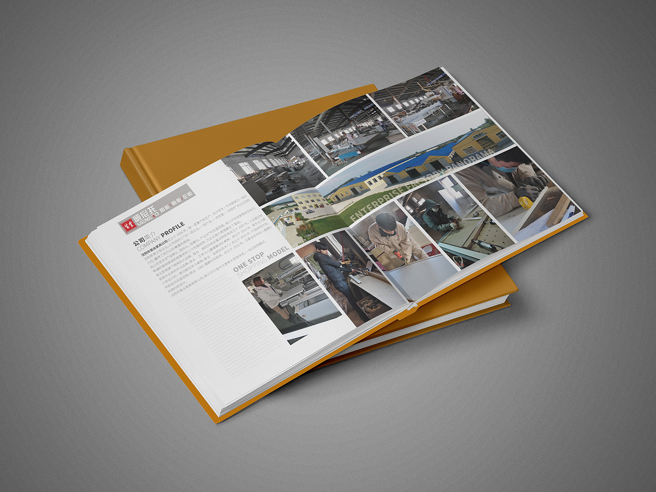 画册案例赏析（图ZMjEzNTUwMTY4） - 书籍/画册 - 站酷设计师半条鱼设计1原创素材 - 站酷ZCOOL