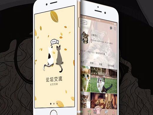 宠物APP-UI设计