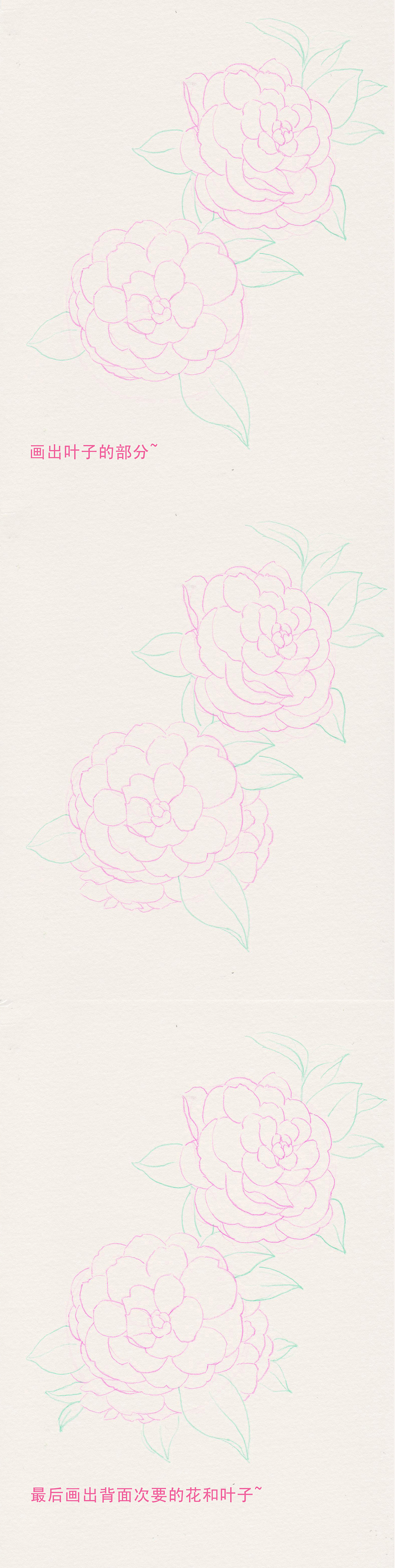 三木花草（小過程5）（圖ZNDc5MDc1NDQ=） - 繪畫 - 站酷設(shè)計(jì)師吳都Jasmine原創(chuàng)素材 - 站酷ZCOOL