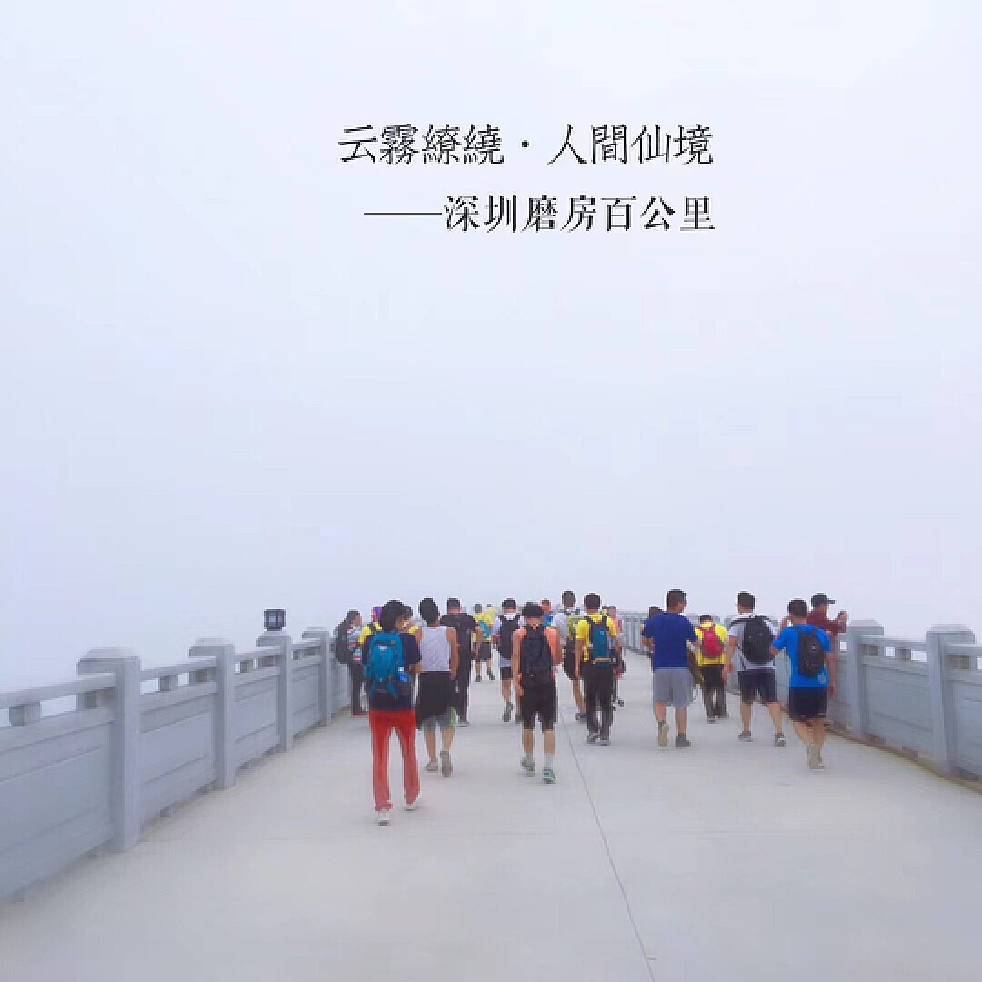 深圳百公里大型徒步第二站：20公里同沙生态公园，带孩子与千人齐欢乐-搜狐