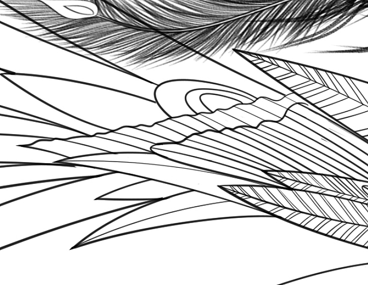 机械师凤凰展翅