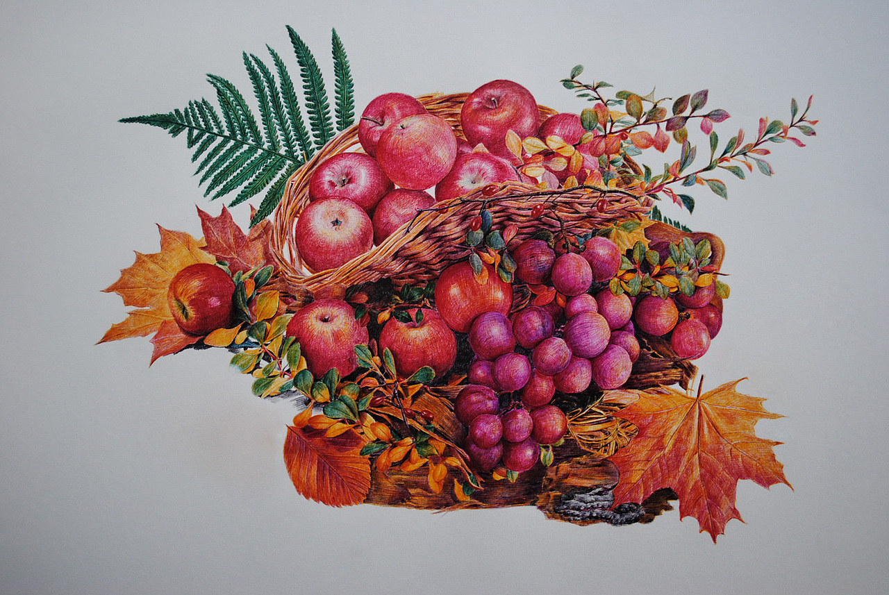 OY彩色圆珠笔画60小时作品