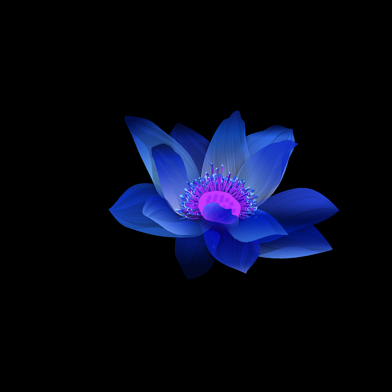 PS练习-半透明花（图ZODczOTg4ODg=） - 其他 - 站酷设计师知予原创素材 - 站酷ZCOOL