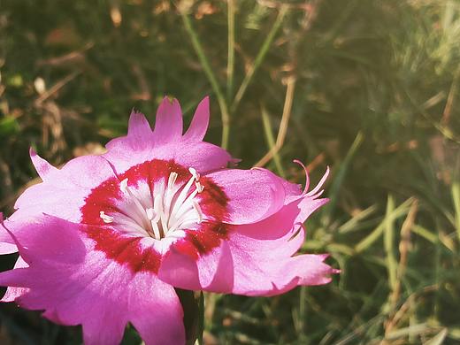 秋日（個人主頁-ZNDMyMTQwNjA=） - 風光攝影 - 站酷設計師素墨晴嵐原創(chuàng)素材 - 站酷ZCOOL