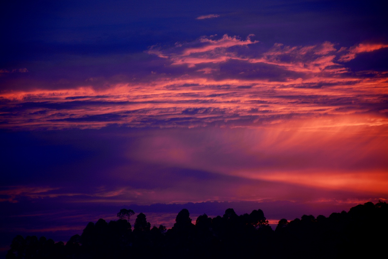 让晚风轻轻吹送了落霞
