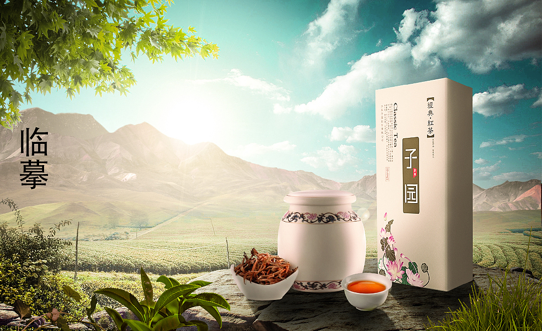 临摹4（图ZMTQxMTA2MDY4） - 海报 - 站酷设计师任白云原创素材 - 站酷ZCOOL