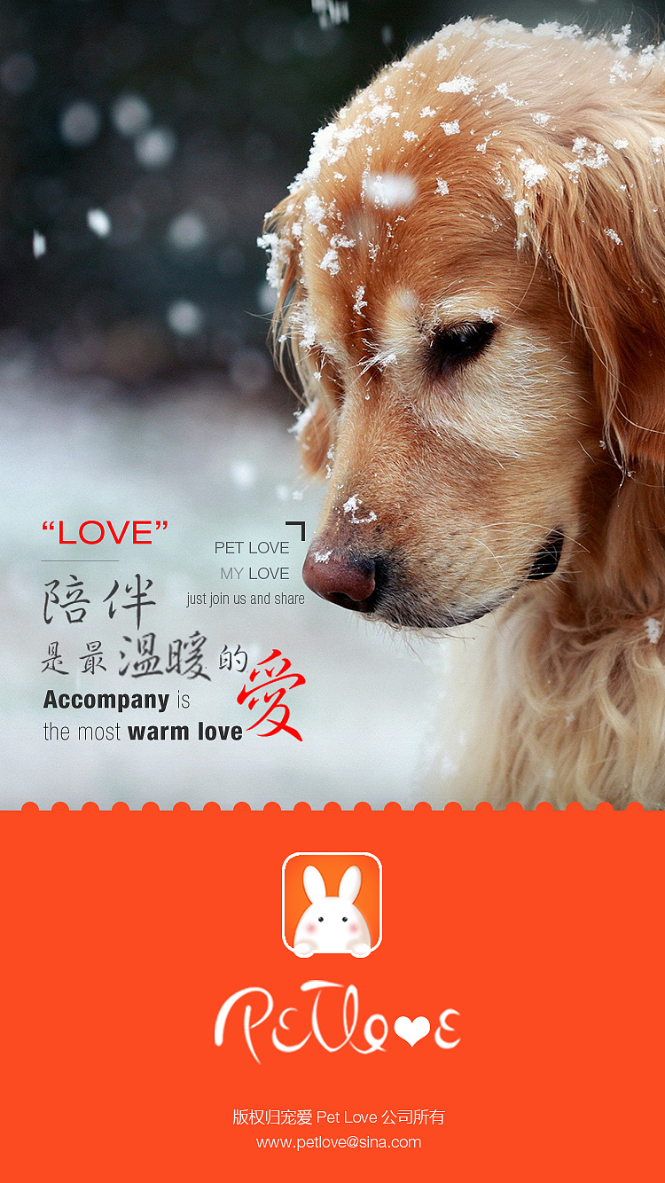 宠爱（图ZMTIwMjI2NjMy） - APP界面 - 站酷设计师shan1314原创素材 - 站酷ZCOOL