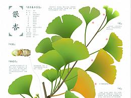 毕业设计