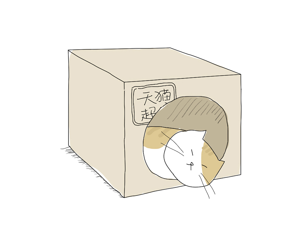 一只喜欢站肩膀上的猫（图ZMjY0MTM3NjA4） - 创作习作 - 站酷设计师小君June原创素材 - 站酷ZCOOL