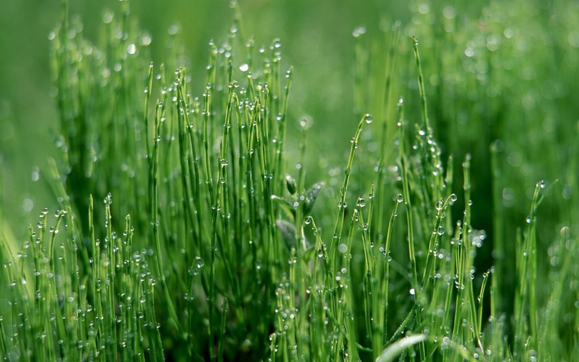 572919787的个人主页（背景预览） - 主页背景设置 - 站酷设计师572919787原创素材 - 站酷ZCOOL