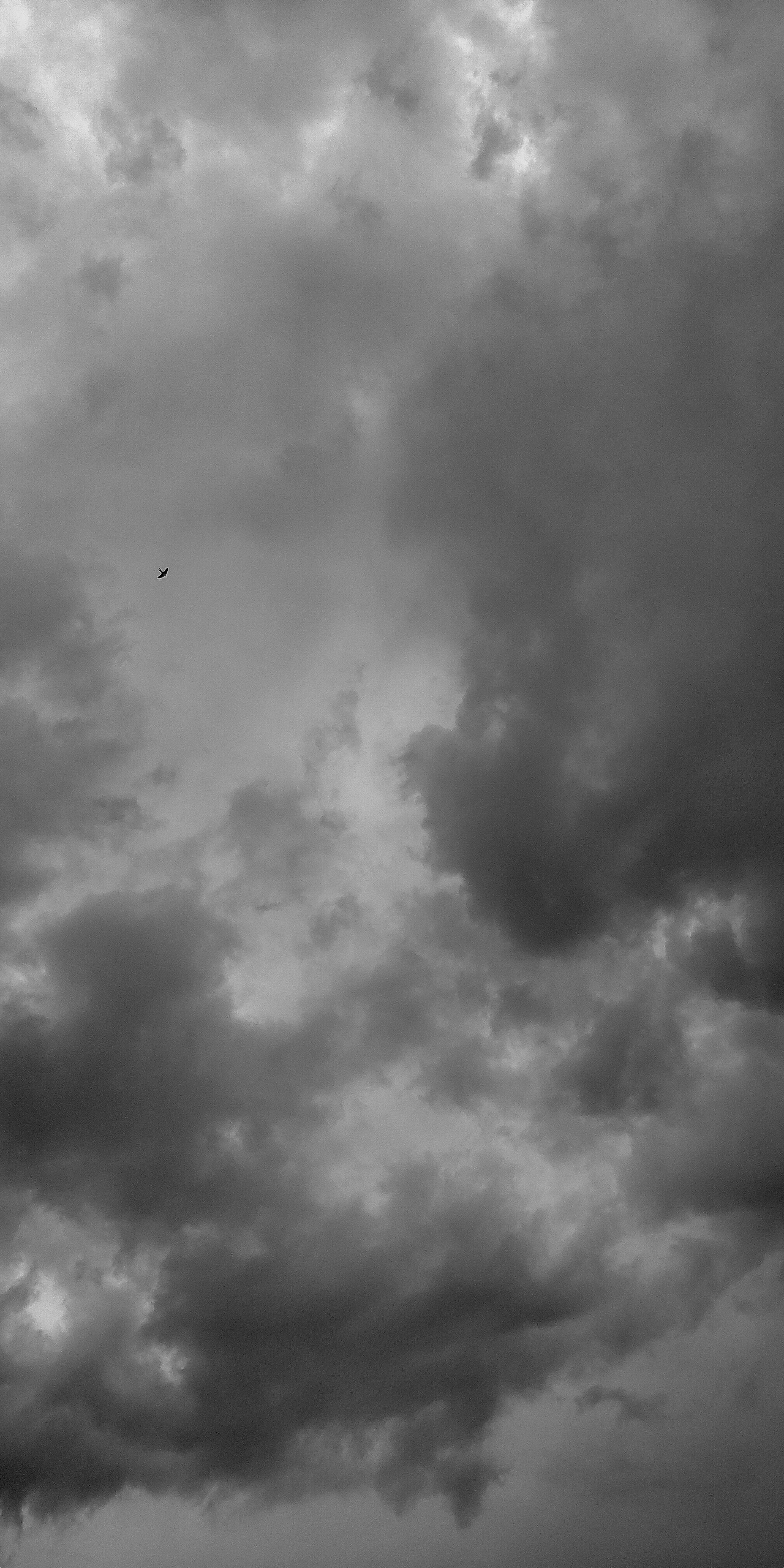 2019年北漂所见—手机随拍(上)（图ZMTk2MTI2NjQ0） - 人文/纪实摄影 - 站酷设计师我是王冲原创素材 - 站酷ZCOOL