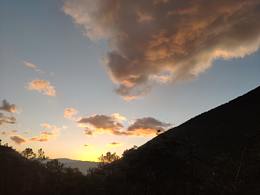 我在南方的艳阳里大雪纷飞