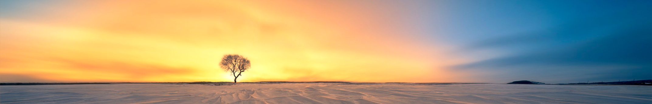 視覺(jué)大使的個(gè)人主頁(yè)（封面預(yù)覽） - 主頁(yè)封面設(shè)置 - 站酷設(shè)計(jì)師視覺(jué)大使原創(chuàng)素材 - 站酷ZCOOL