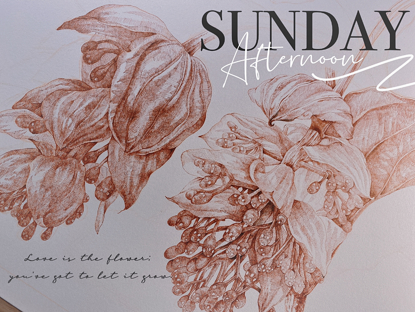 蘸水笔针管笔｜宝莲灯（图ZMzM2ODY2MjA0） - 艺术插画 - 站酷设计师CatCastleDZ原创素材 - 站酷ZCOOL