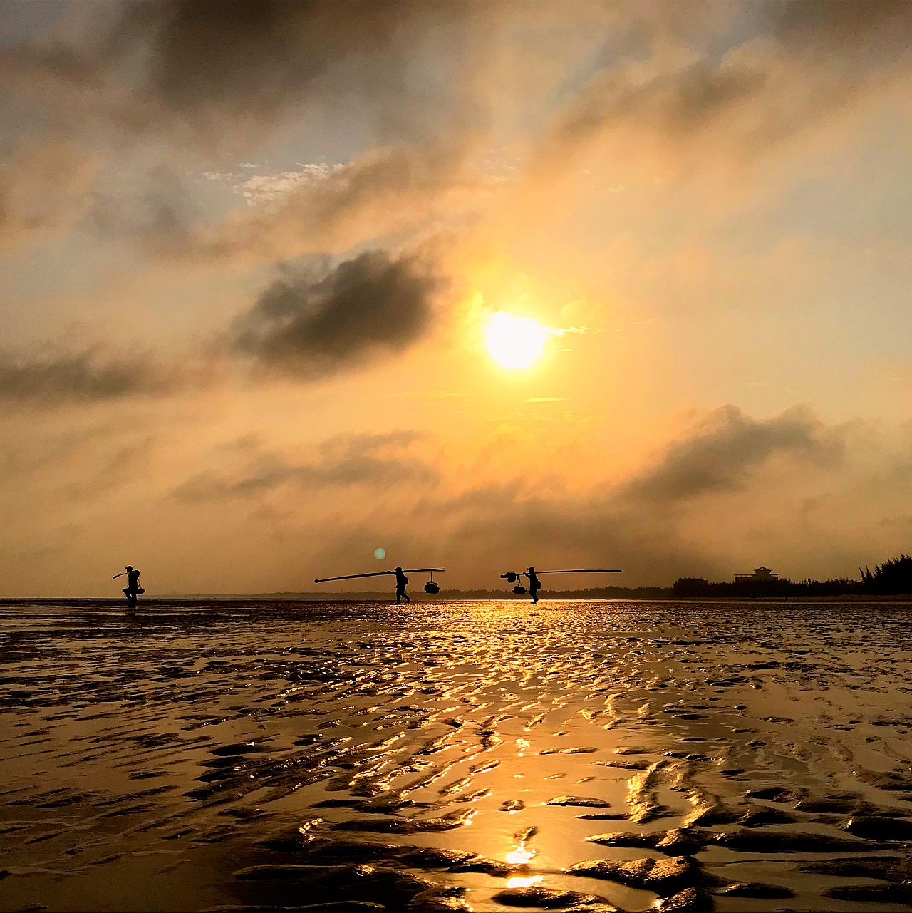 《夕陽餘暉下趁海人》
