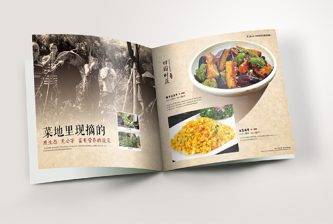 湘菜菜谱---禾彩创意|平面|书籍/画册|fafa1990 - 原创作品 - 站酷 (ZCOOL)