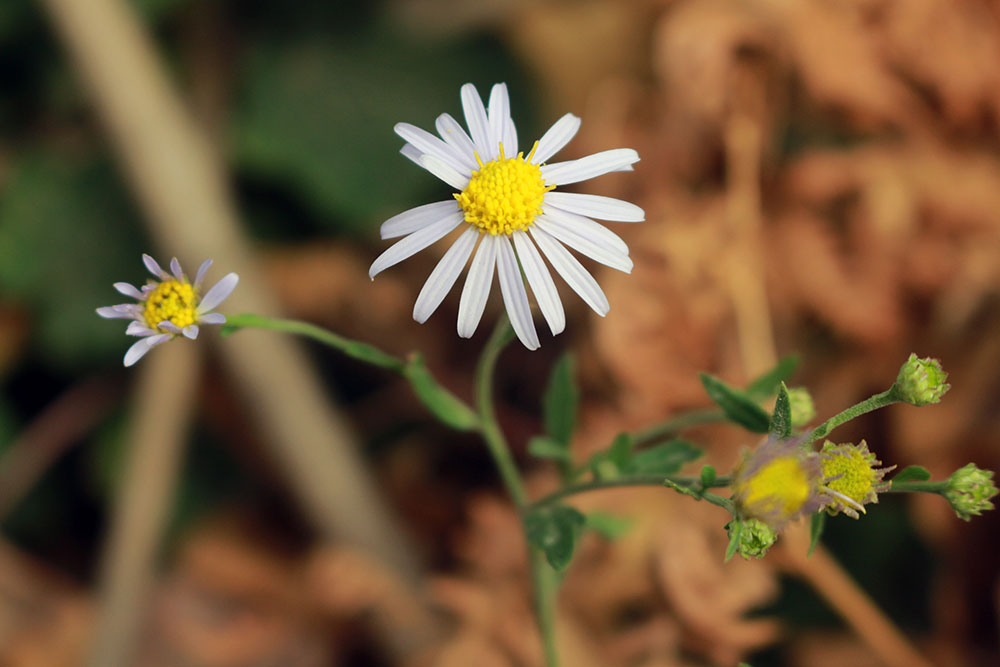 水和筷子加杯子的個人主頁（背景預(yù)覽） - 主頁背景設(shè)置 - 站酷設(shè)計(jì)師水和筷子加杯子原創(chuàng)素材 - 站酷ZCOOL