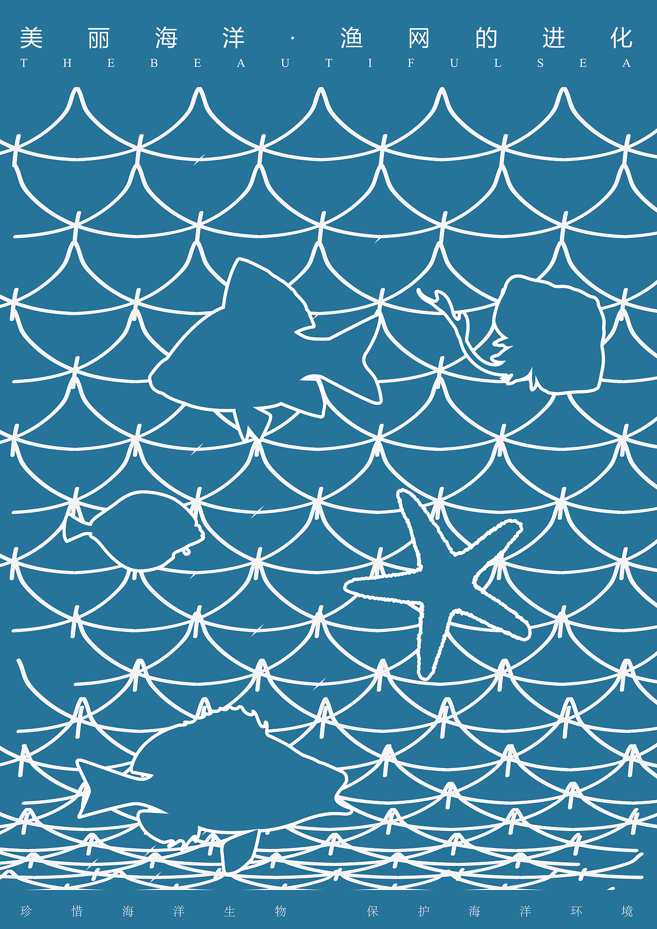 美丽海洋-渔网的进化