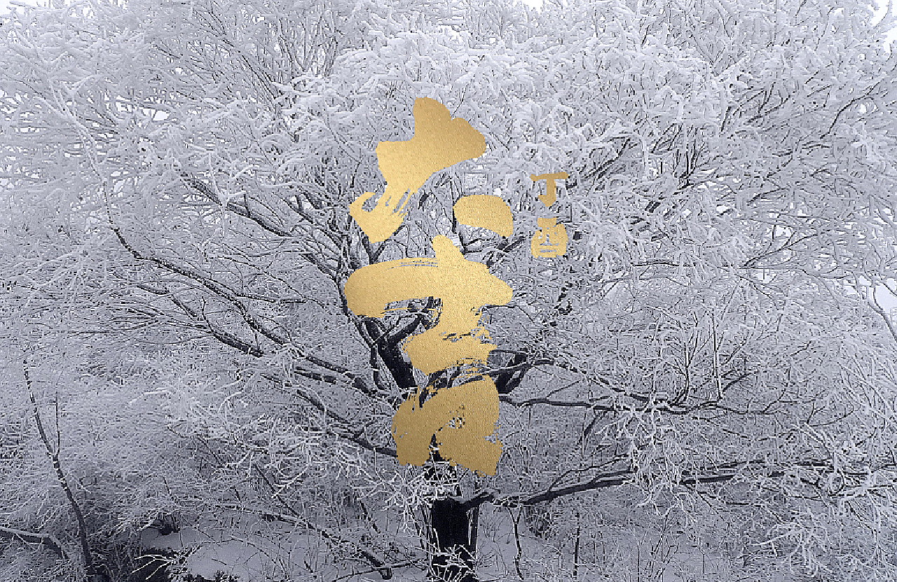 之间设计-来自家乡的红包