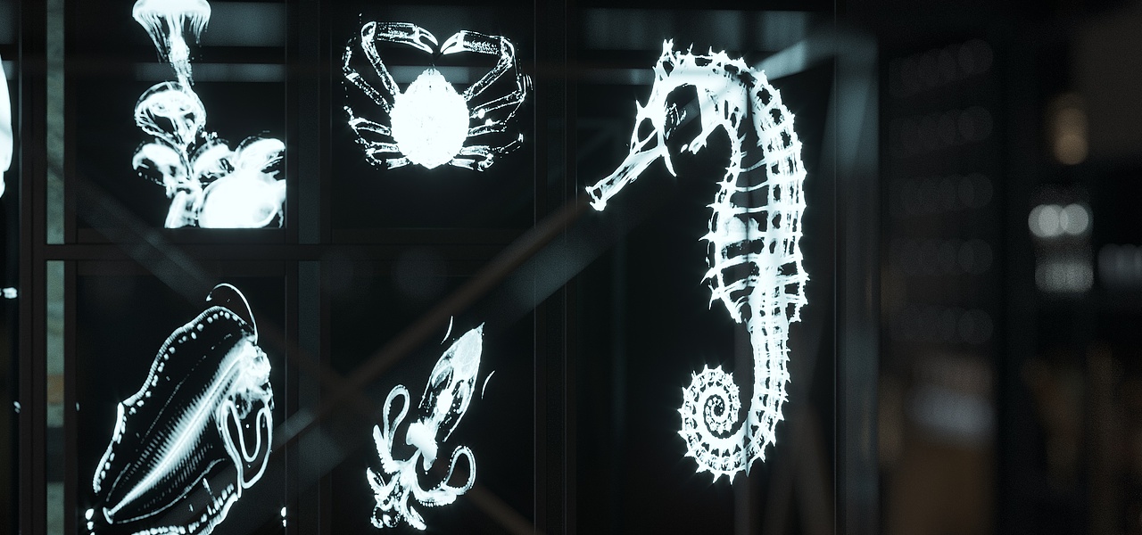 2020春分班_陈杰辉同学作品