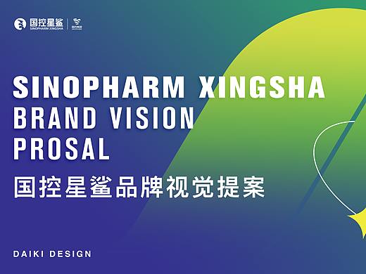 国控星鲨品牌视觉设计提案