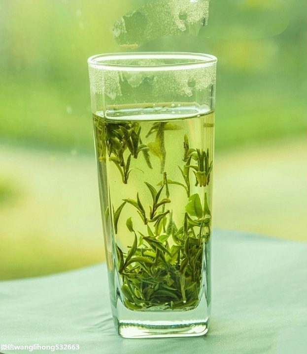 做你手中的那杯茶