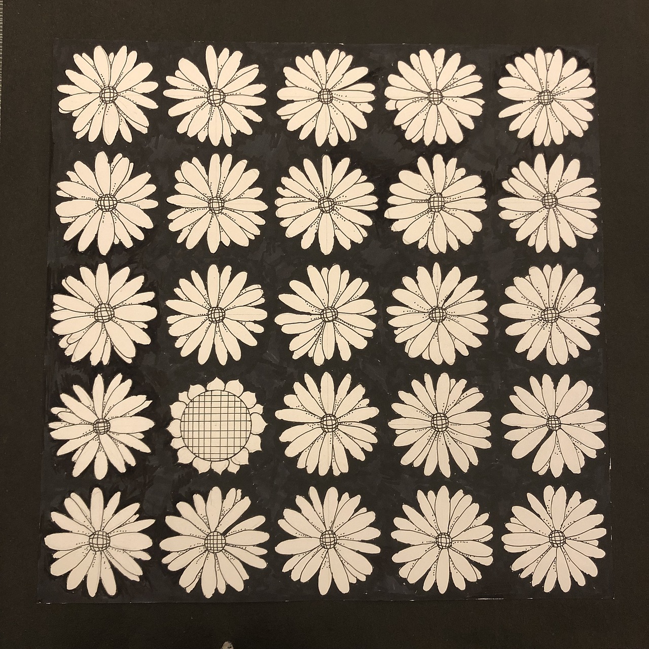 菊花灵感特异向日葵