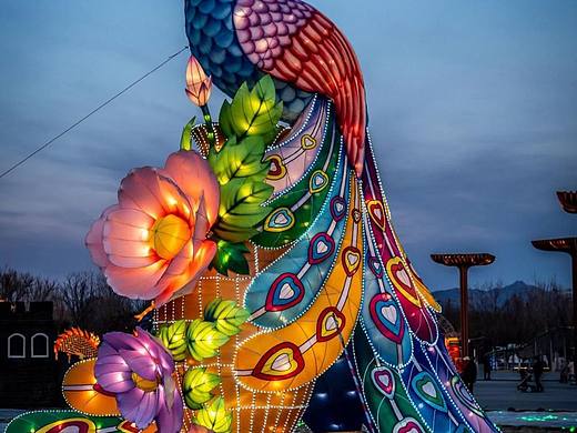孔雀花灯彩灯，大型花灯彩灯制作