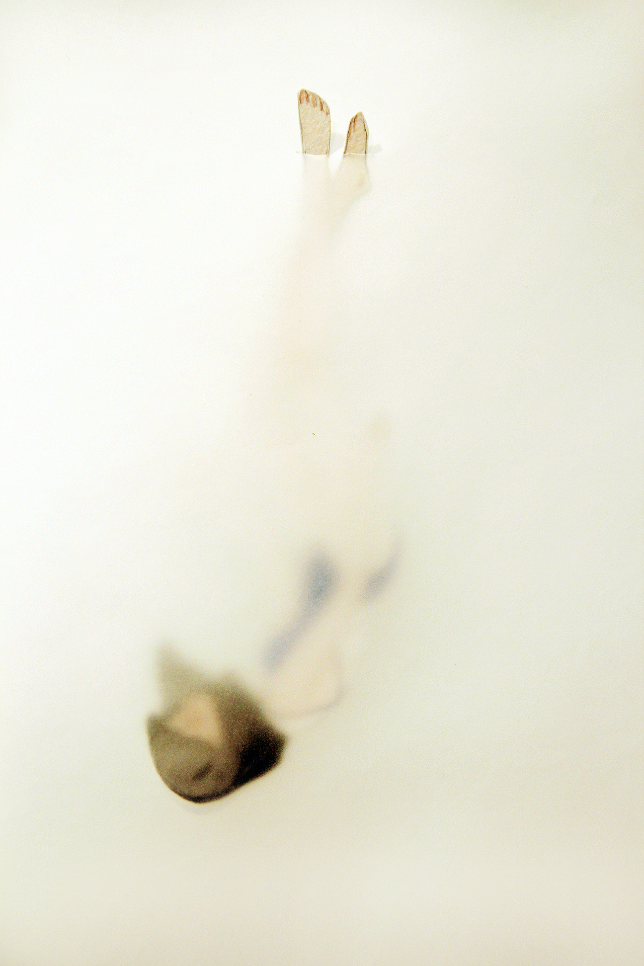 画展回顾（图ZOTM5MDA5NTY=） - 人文/纪实摄影 - 站酷设计师陳仚原创素材 - 站酷ZCOOL