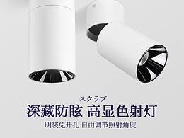 明装电镀直桶射灯