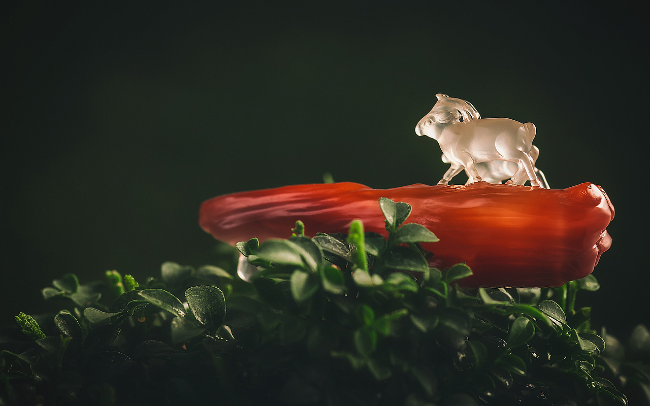 玉雕摄影 ▏南红玛瑙创意精品雕刻件-微观大观