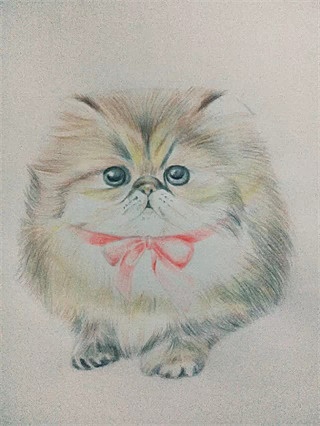 随笔（图ZNTUzNjkwNDA=） - 艺术插画 - 站酷设计师帅昂今天画画了吗原创素材 - 站酷ZCOOL