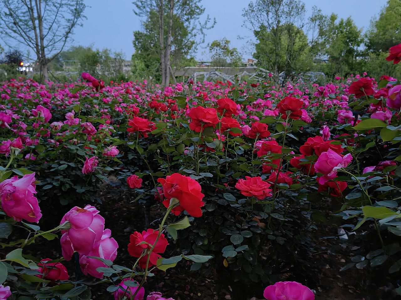 5.1出游季（图ZMzM5MzM3NDA0） - 风光摄影 - 站酷设计师红云道友原创素材 - 站酷ZCOOL