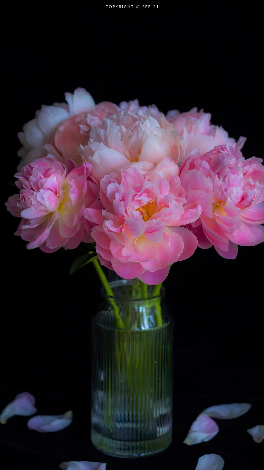 有灵魂的人，她一个人站在那里，就是千军万马。（图ZMzU2MDIzODcy） - 风光摄影 - 站酷设计师一小迷糊一原创素材 - 站酷ZCOOL