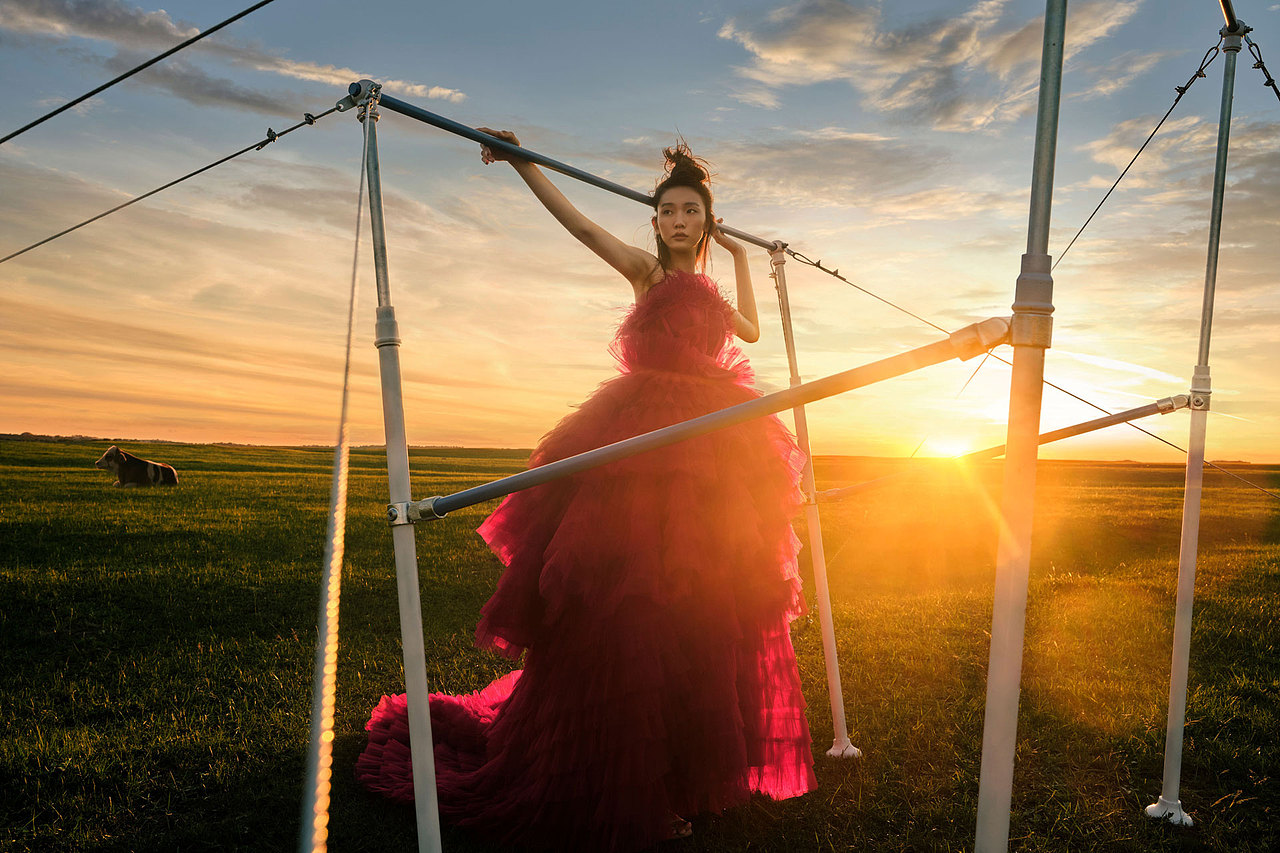 优雅的力度|致敬奥林匹克